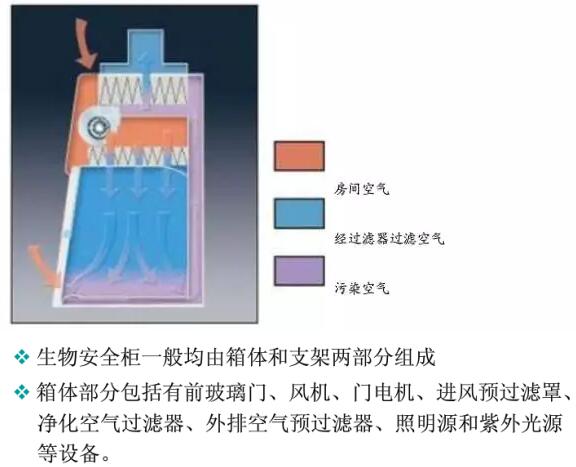 二級生物安全柜的結(jié)構(gòu)是什么(圖2)