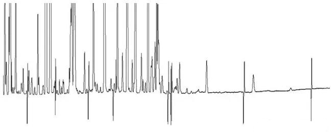 氣相色譜儀帶氫火焰離子檢測(cè)器基線雙向毛刺故障解讀(圖1)